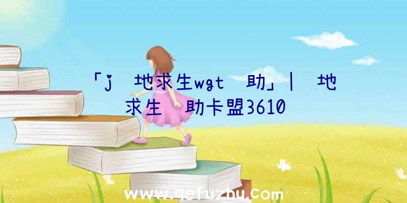 「j绝地求生wgt辅助」|绝地求生辅助卡盟3610